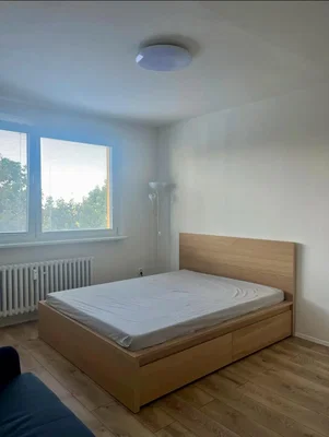 Schlafzimmer; holzboden, tageslicht