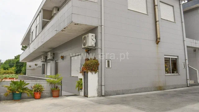 House and surroundings; natural light, view