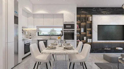 Kitchen; kitchen appliances, view, natural light, modern style