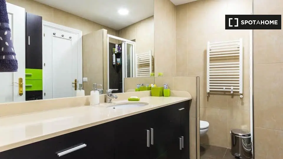 Salle de bain; rénové, lumière naturelle