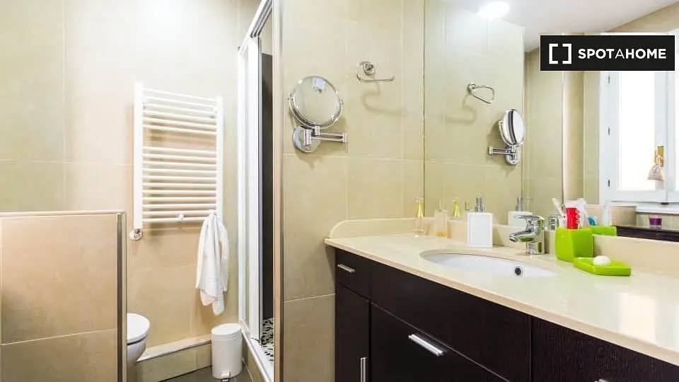 Salle de bain; carrelage, rénové, lumière naturelle