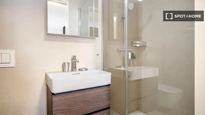 Salle de bain; rénové, carrelage, lumière naturelle