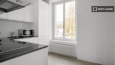 Cucina; elettrodomestici, vista, luce naturale