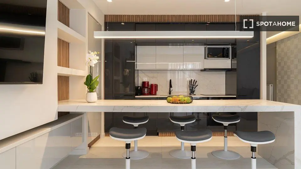 Cucina; elettrodomestici, stile moderno, luce naturale