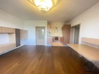 Wohnzimmer; holzboden, tageslicht