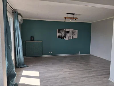 Living room; natural light, wood floor