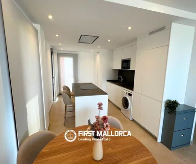 Kitchen; kitchen appliances, natural light, modern style
