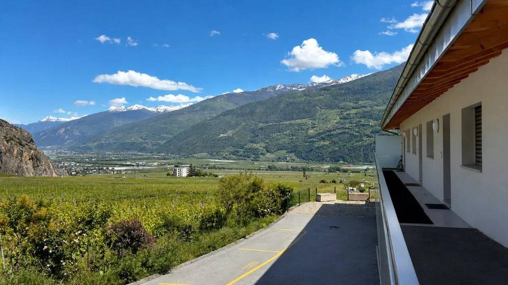 Terasa; pogled, prirodno svjetlo