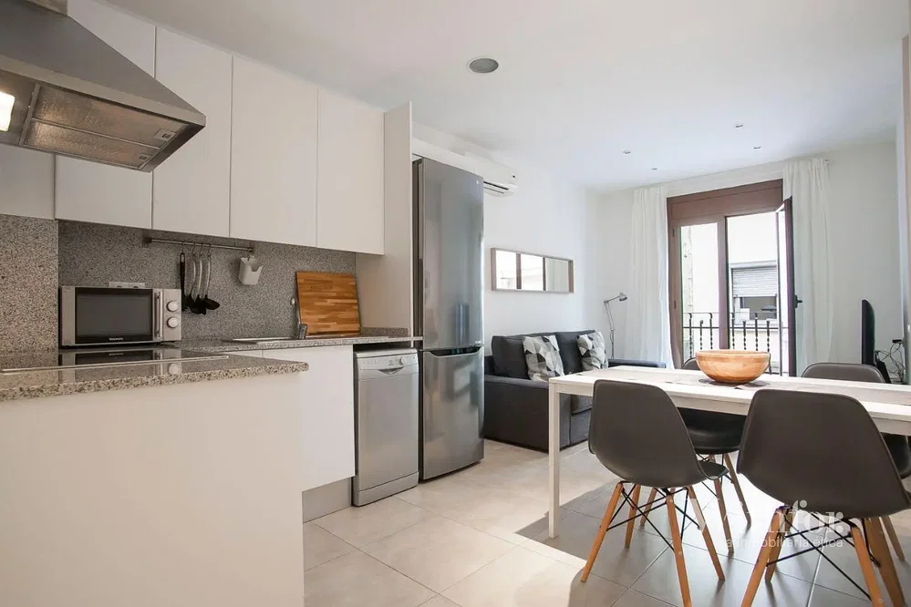 Keuken; keukenapparatuur, natuurlijk licht, moderne stijl