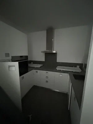 Cocina; electrodomésticos, interior oscuro