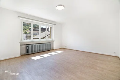 Other; natural light, wood floor