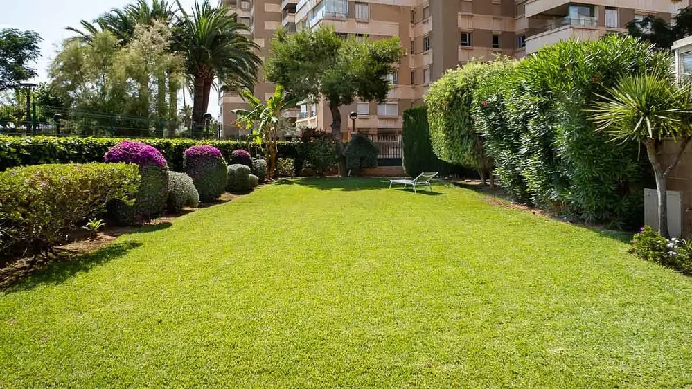 Casa e arredores; luz natural, vista