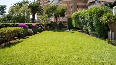 Casa e arredores; luz natural, vista