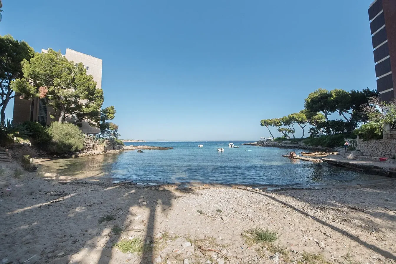 Maison et environs; vue, lumière naturelle