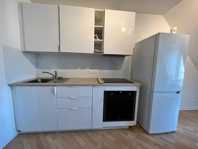 Cucina; elettrodomestici, pavimento in legno, ristrutturato, luce naturale