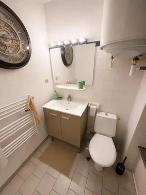Toilette; fliesenboden, tageslicht