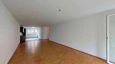 Wohnzimmer; holzboden, tageslicht