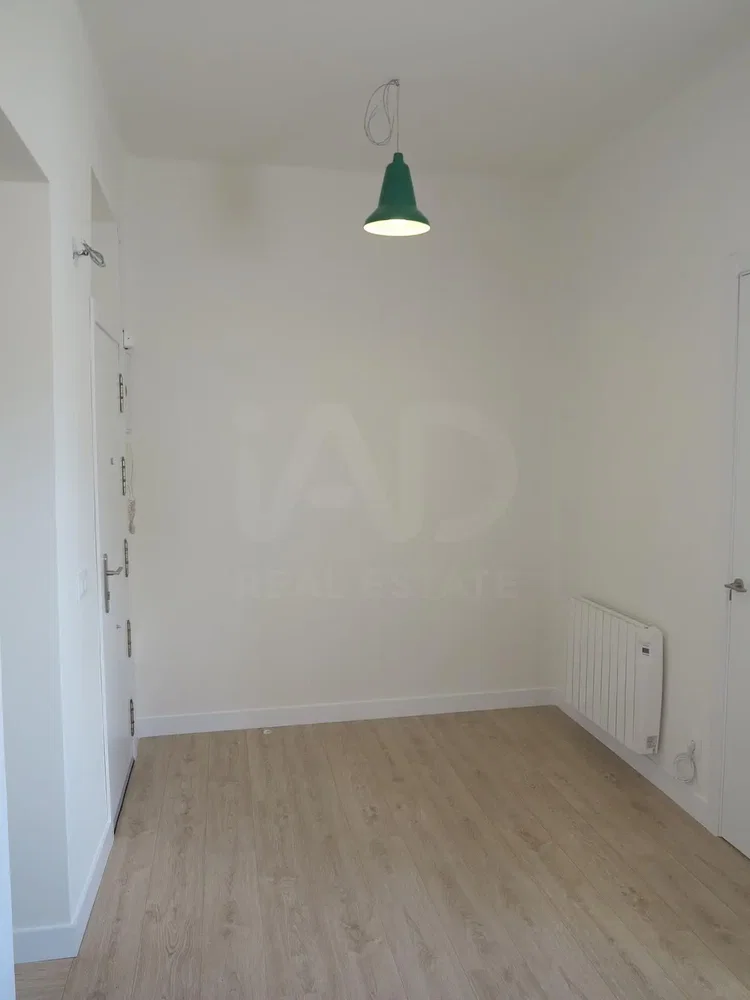 Overig; houten vloer, natuurlijk licht