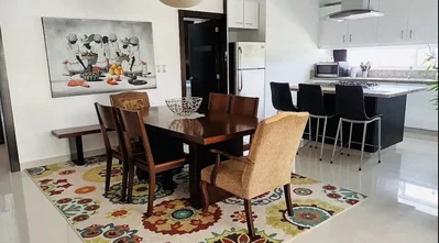 Kuchyně; kuchyňské spotřebiče, dlažba, přirozené světlo