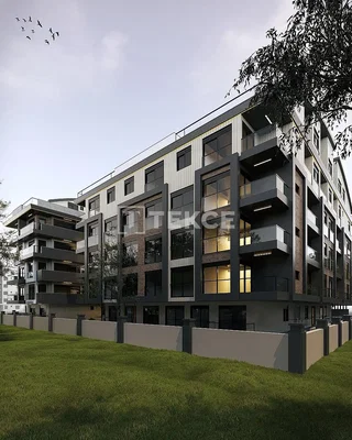 Huis en omgeving