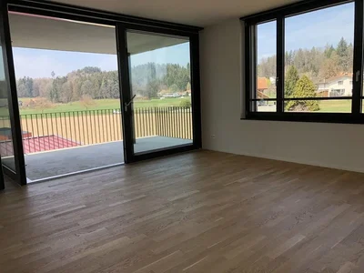Balkon; blick, holzboden, tageslicht