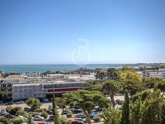Kuća i okolina; pogled