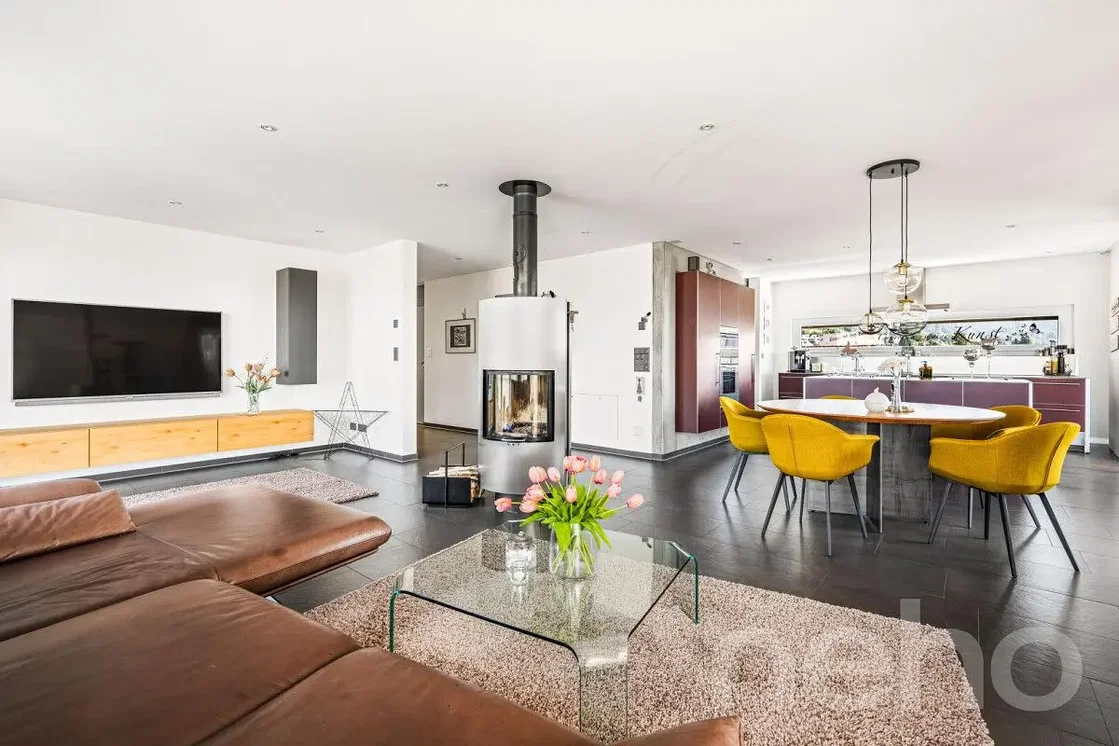 Living room; natural light, fireplace, wood floor, modern style