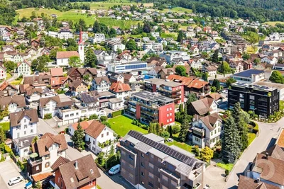 House and surroundings; view
