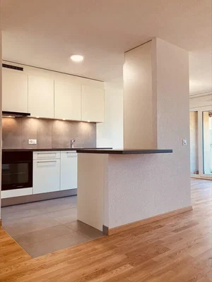 Cucina; elettrodomestici, pavimento in piastrelle, pavimento in legno, luce naturale, ristrutturato