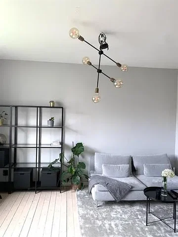 Living room; wood floor, natural light, modern style