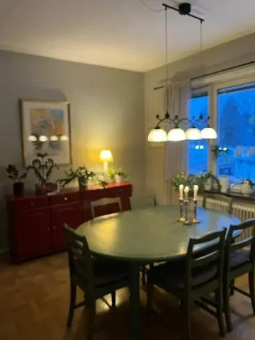 Living room; wood floor, natural light, modern style