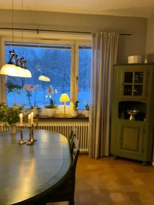 Dnevna soba; drveni pod, prirodno svjetlo, rustikalni stil