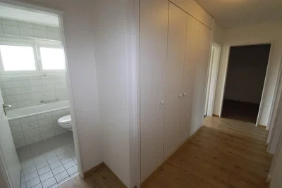 Living room; tile floor, wood floor, natural light