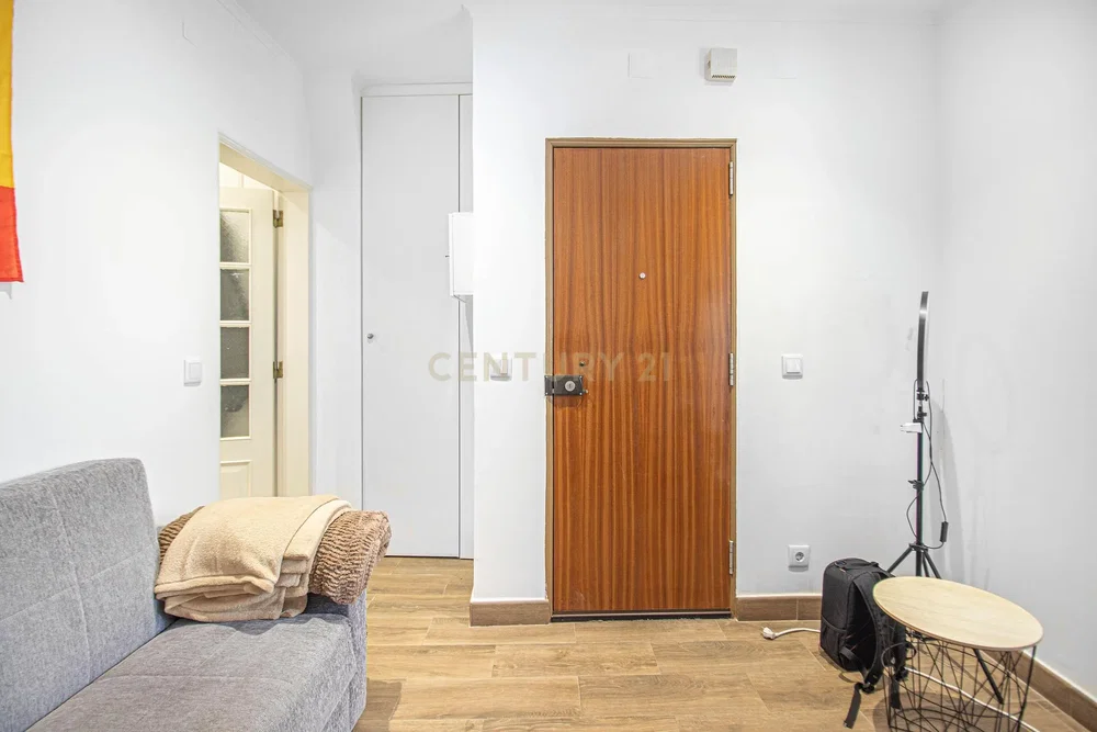 Salón; suelo de madera, luz natural