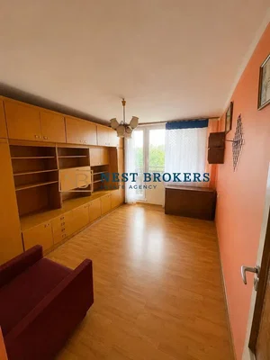 Living room; wood floor, natural light