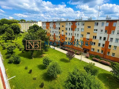 House and surroundings