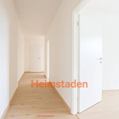 Other; wood floor, natural light