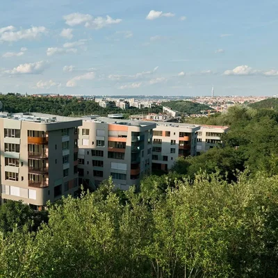 House and surroundings; view