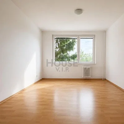 Ostatní; dřevěná podlaha, přirozené světlo