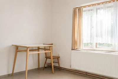 Other; natural light, wood floor