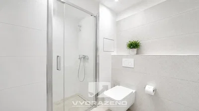 Toilet; tile floor, natural light, renovated