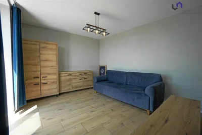 Wohnzimmer; holzboden, tageslicht