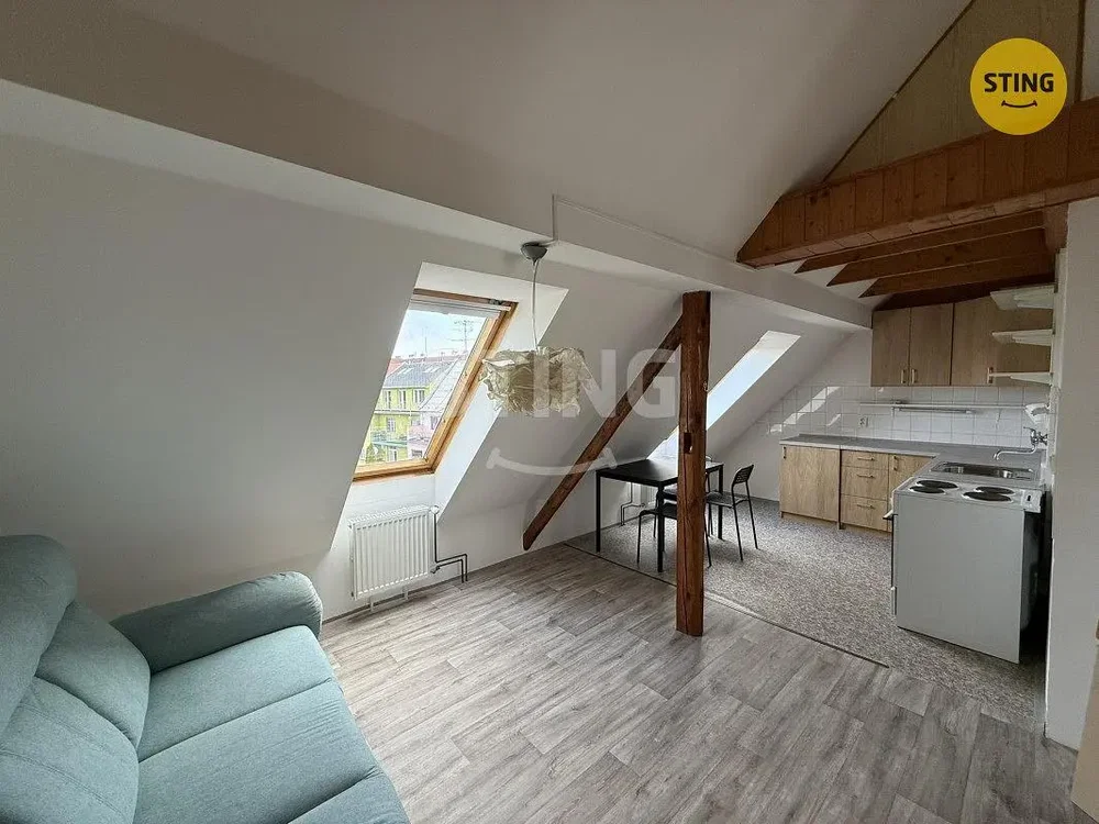 Salon; parquet, lumière naturelle, électroménager