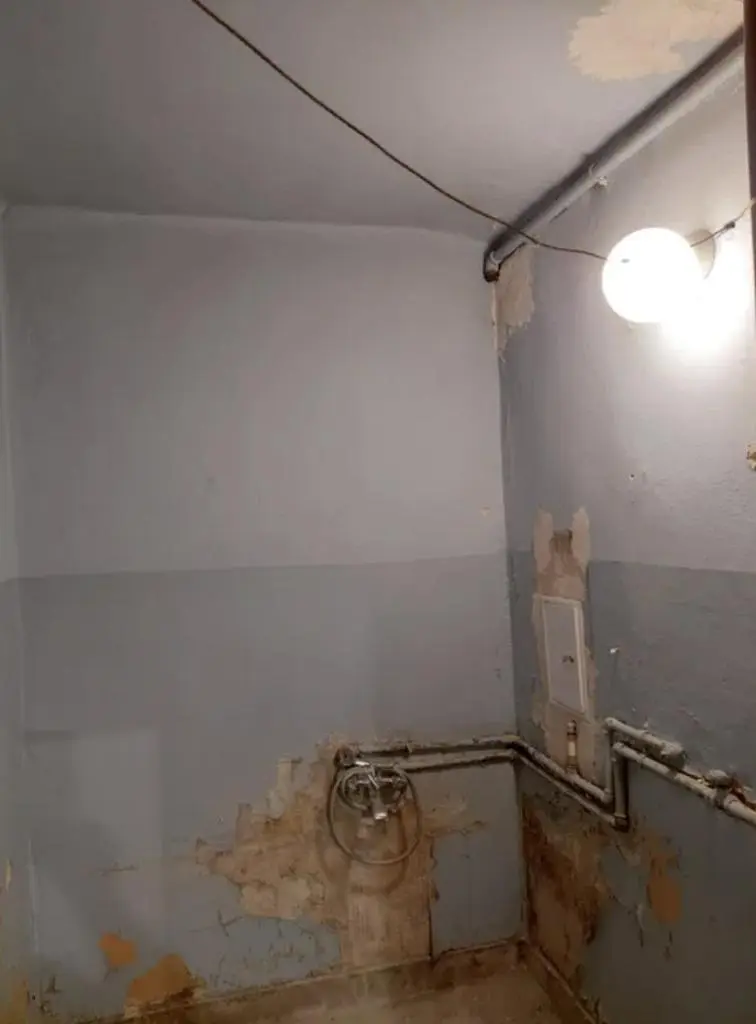 Toilet; renovatie nodig, donker interieur