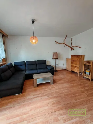 Living room; wood floor, natural light