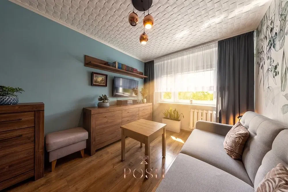 Salon; lumière naturelle, style moderne, parquet