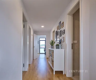 Other; wood floor, natural light