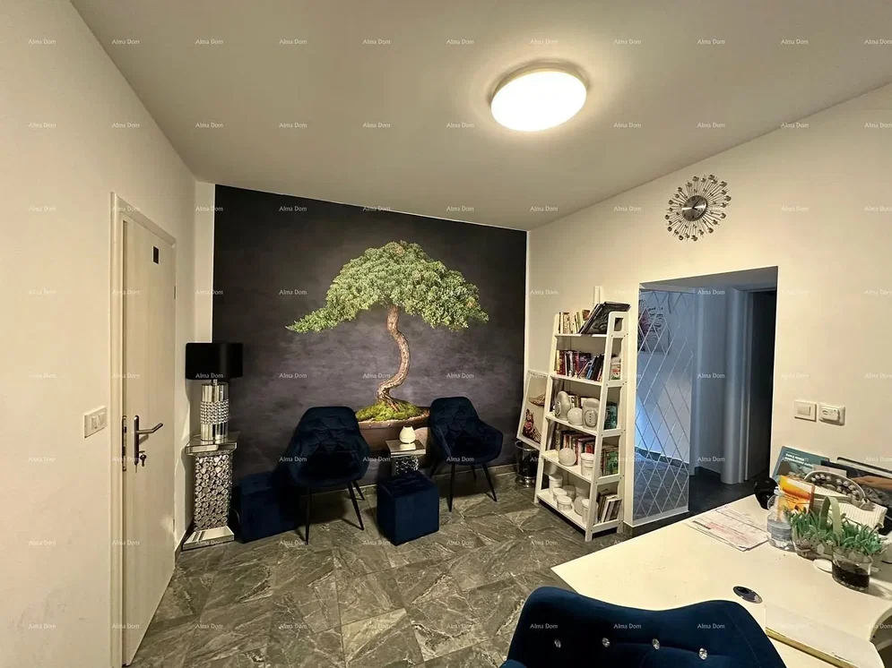 Sala de estar; luz natural, estilo moderno
