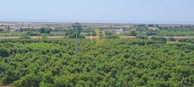 Остало
