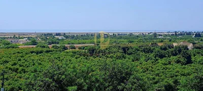 Кућа и околина; поглед, природно светло